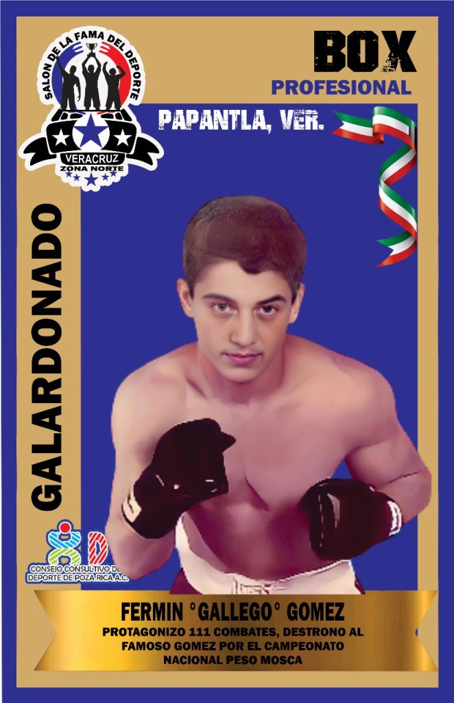 WhatsApp Image 2025-02-19 at 11.56.50