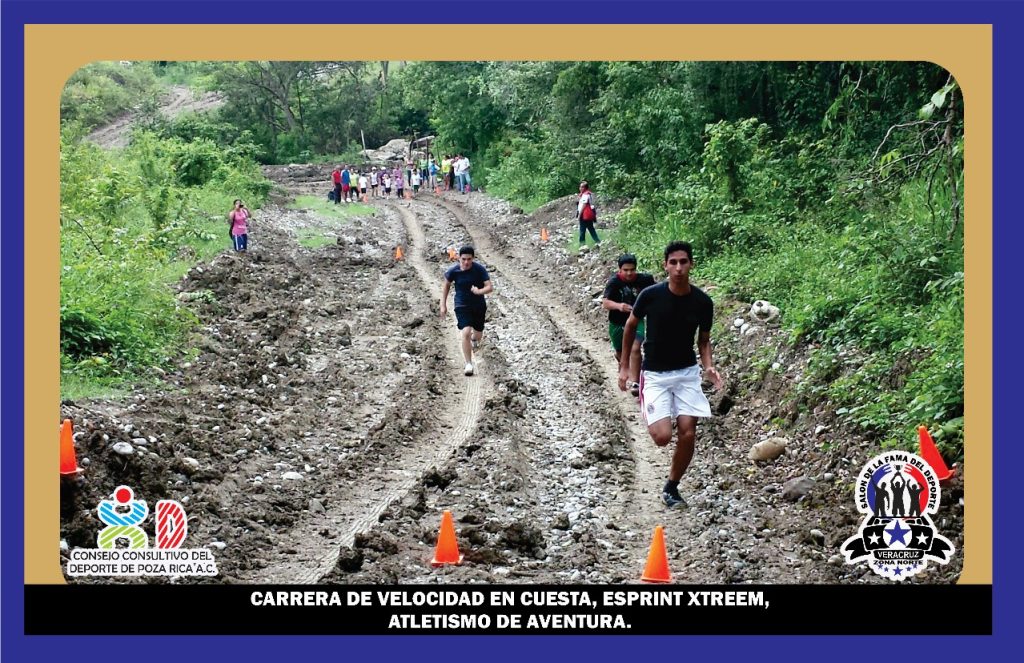 WhatsApp Image 2025-02-20 at 14.23.57 (3)