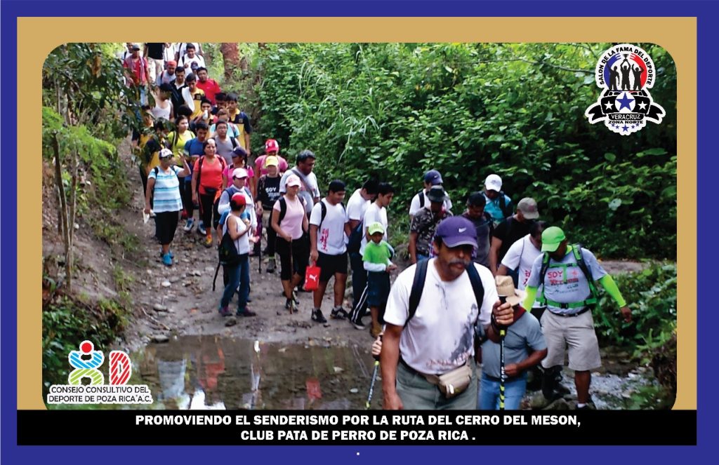 WhatsApp Image 2025-02-20 at 14.25.00