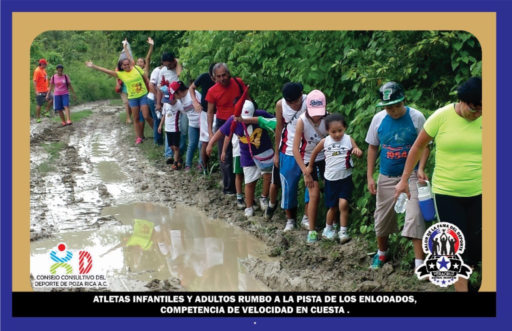 WhatsApp Image 2025-02-20 at 14.25.01