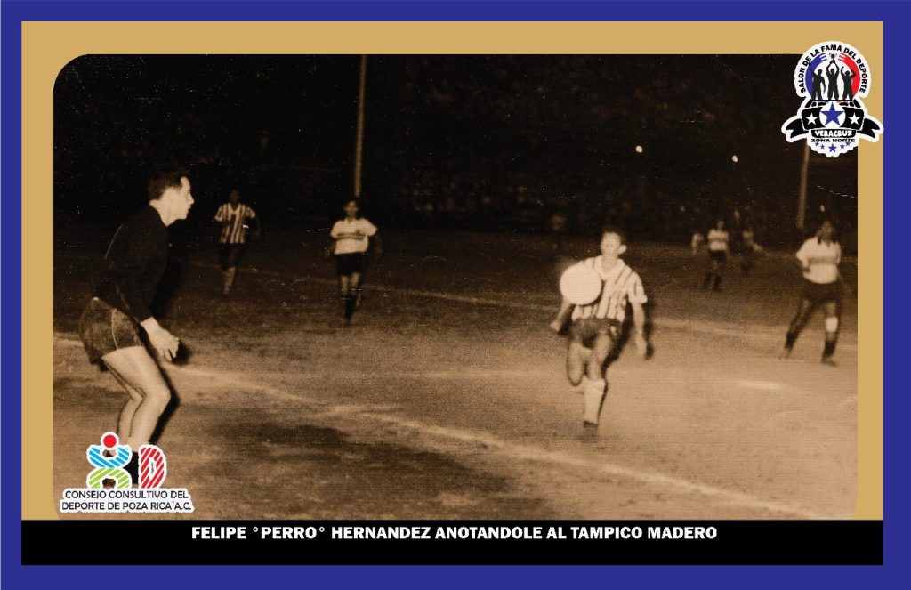 WhatsApp Image 2025-02-20 at 14.49.31 (1)