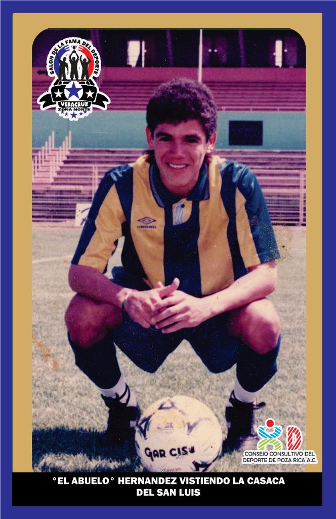 WhatsApp Image 2025-02-20 at 14.50.11