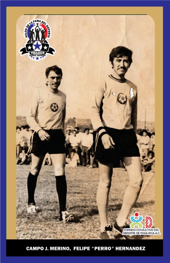 WhatsApp Image 2025-02-20 at 14.50.12