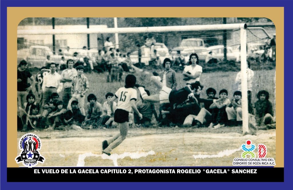 WhatsApp Image 2025-02-20 at 14.50.20