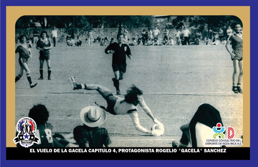 WhatsApp Image 2025-02-20 at 14.50.21 (1)