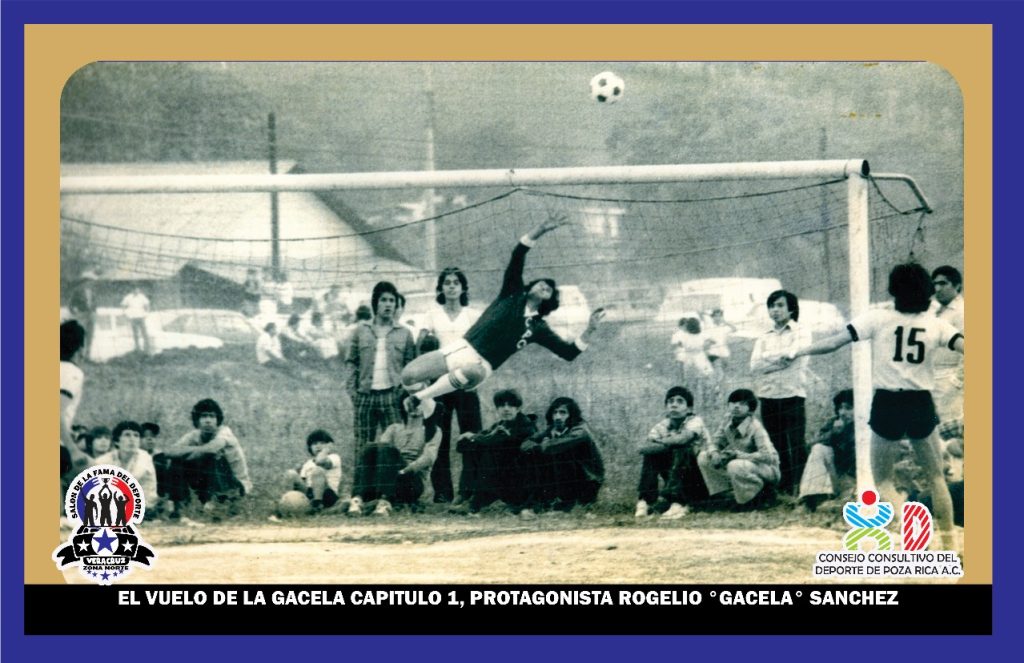 WhatsApp Image 2025-02-20 at 14.50.24