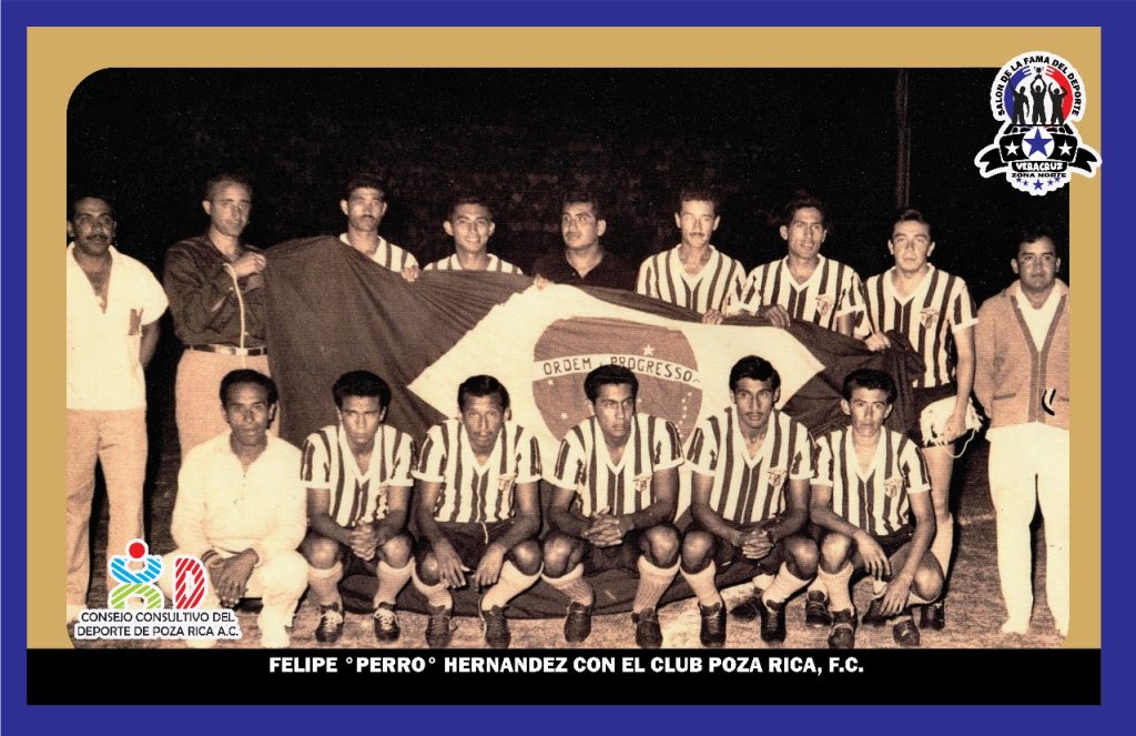 WhatsApp Image 2025-02-20 at 14.51.02