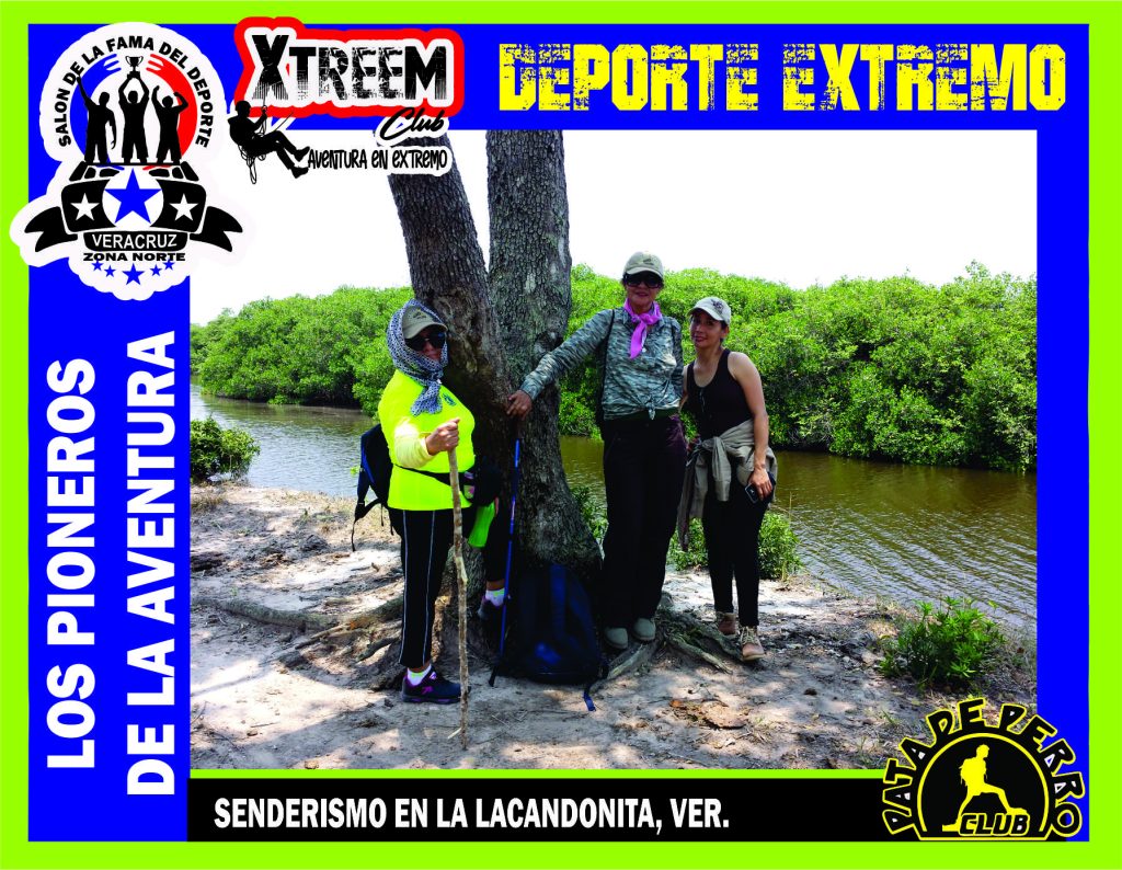 SALON FOTO 1MEGA ZB14