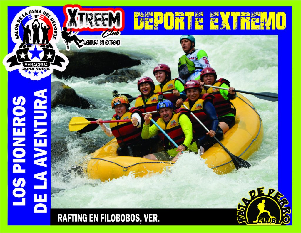 SALON FOTO 1MEGA ZB15