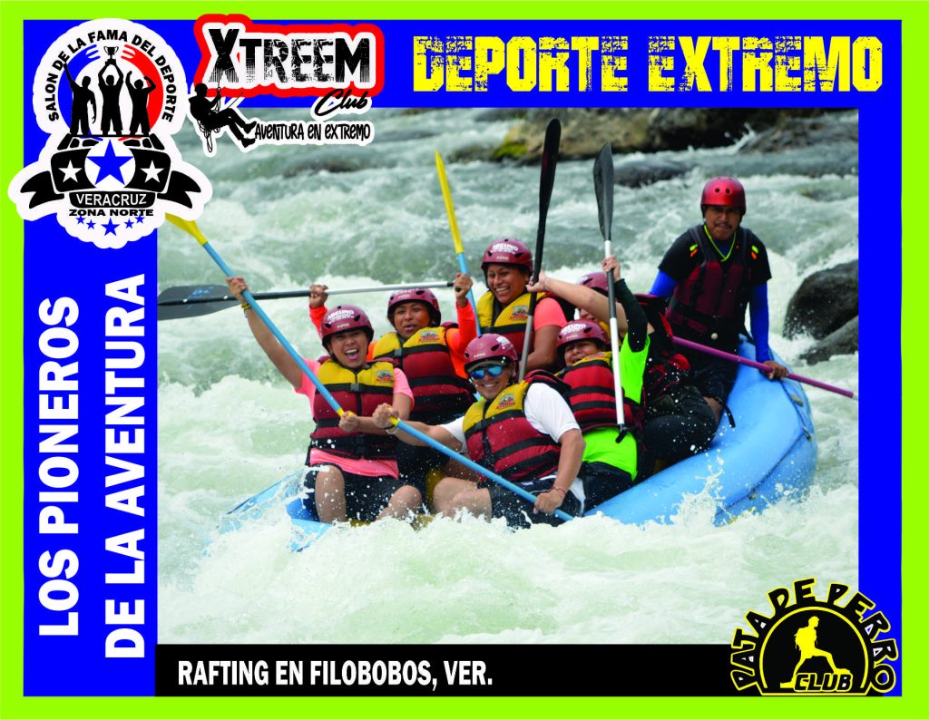 SALON FOTO 1MEGA ZB16