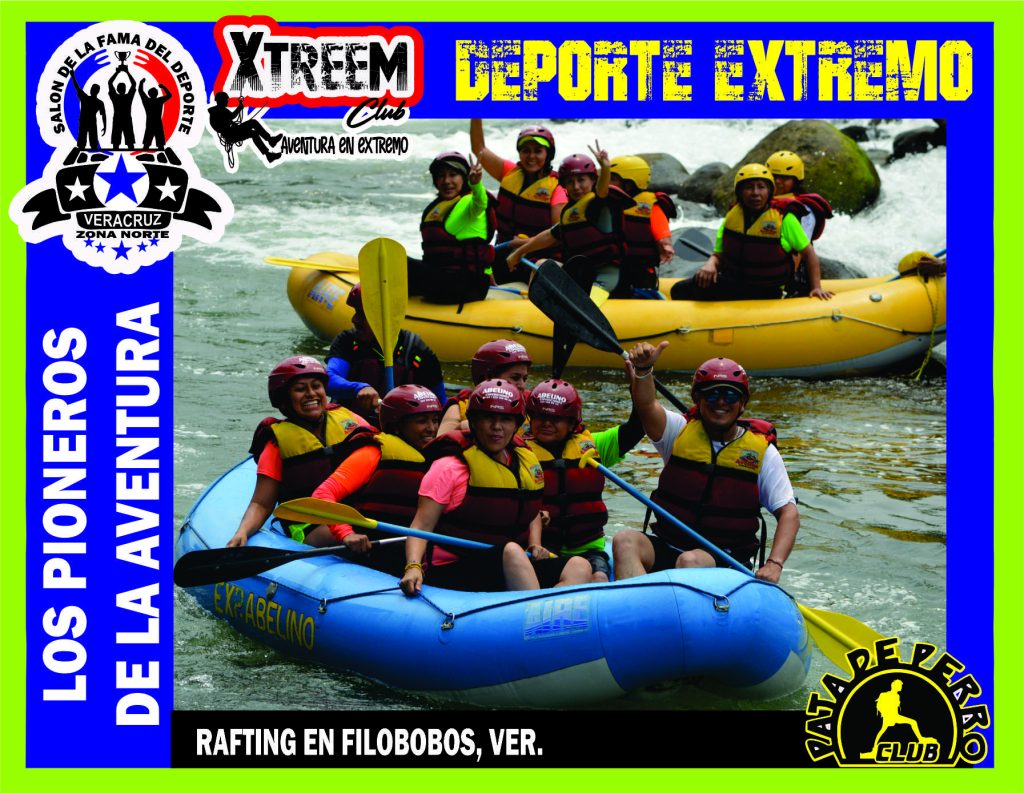 SALON FOTO 1MEGA ZB17