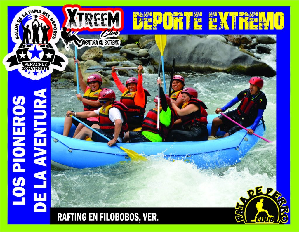 SALON FOTO 1MEGA ZB19