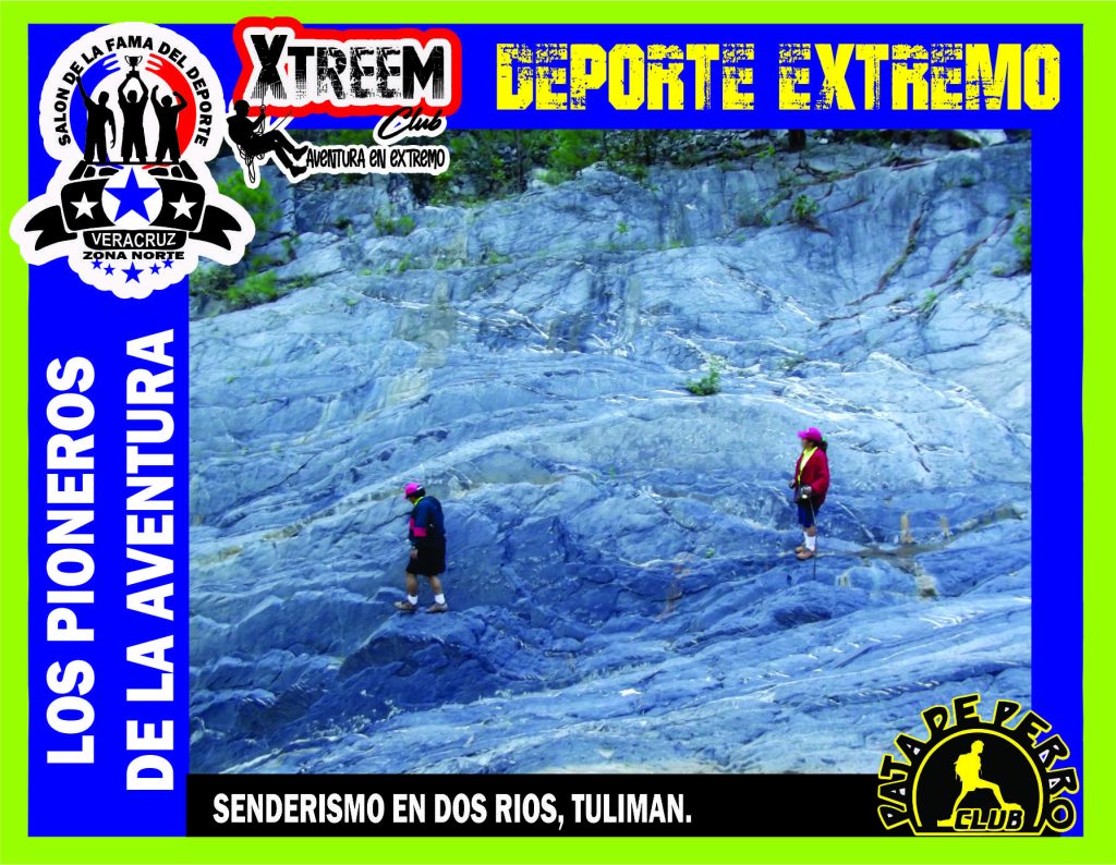 SALON FOTO 1MEGA ZB5