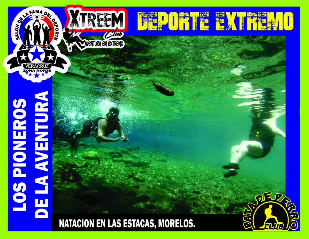 SALON FOTO 1MEGA ZB55