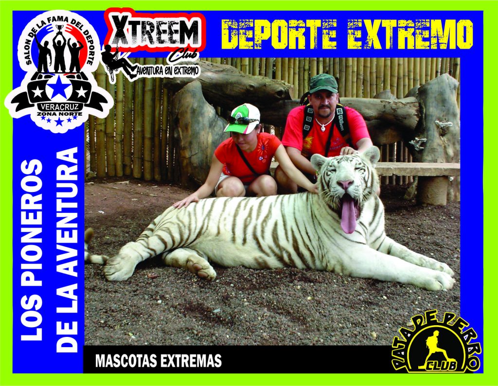 SALON FOTO 1MEGA ZB65