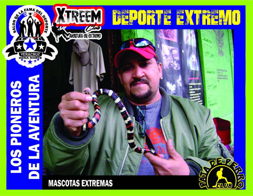 SALON FOTO 1MEGA ZB68