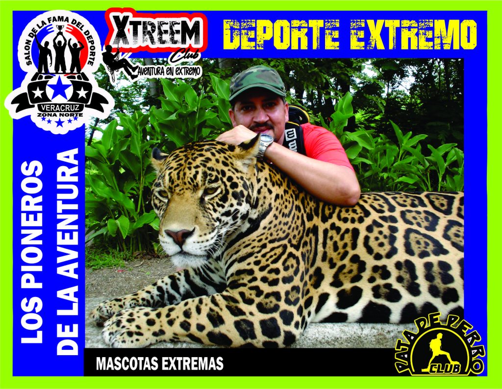 SALON FOTO 1MEGA ZB69