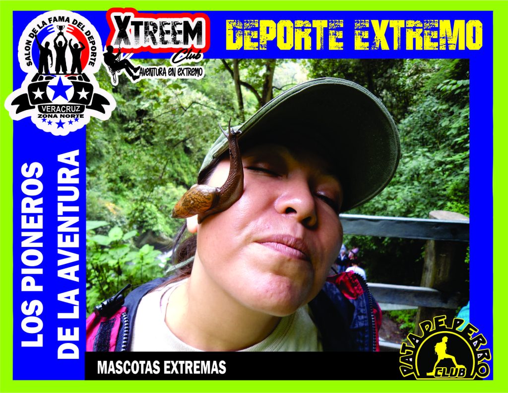 SALON FOTO 1MEGA ZB73