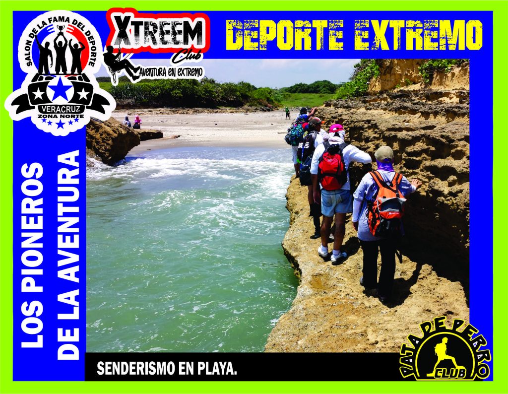 SALON FOTO 1MEGA ZB8