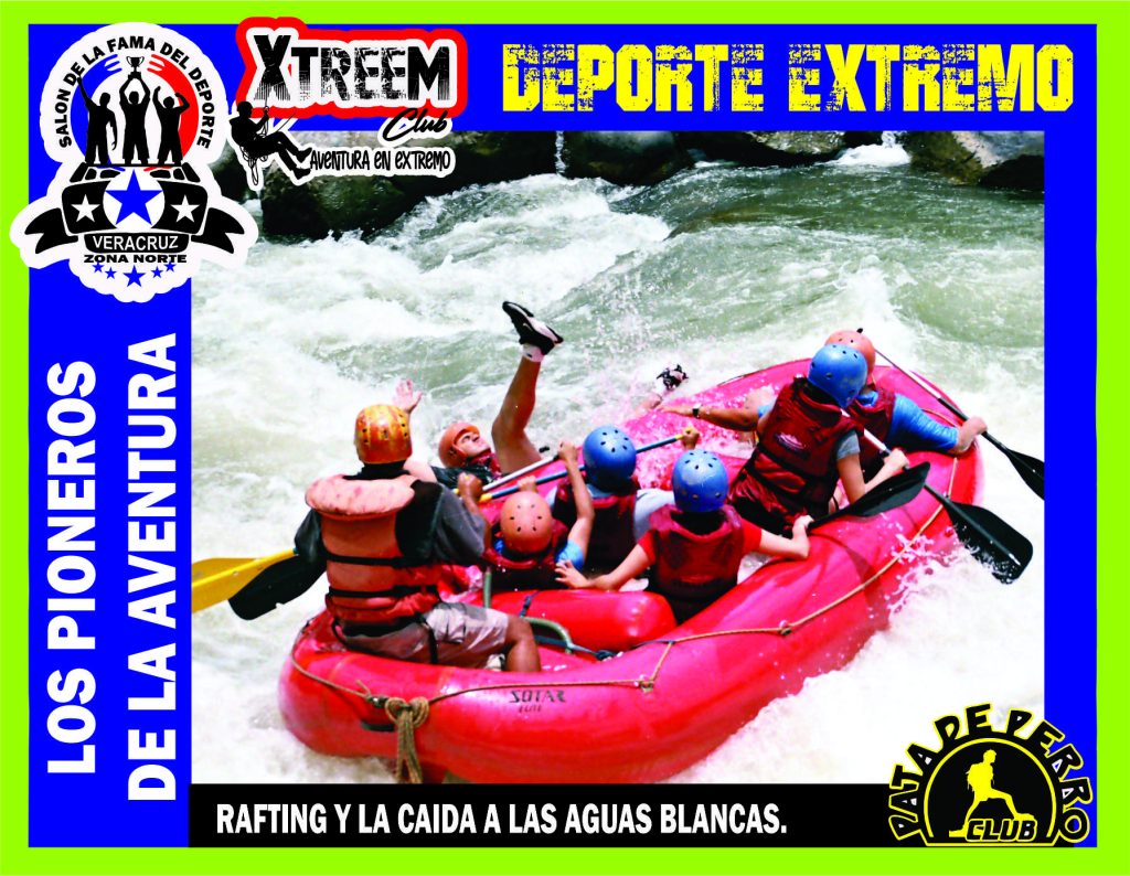 SALON FOTO 1MEGA ZB99